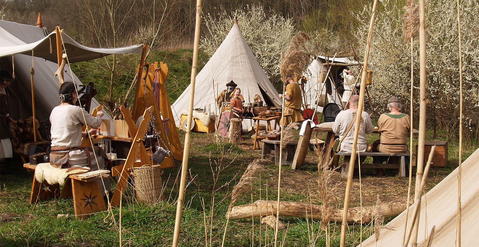 Unser Lager zwischen Schilf und Schlehen